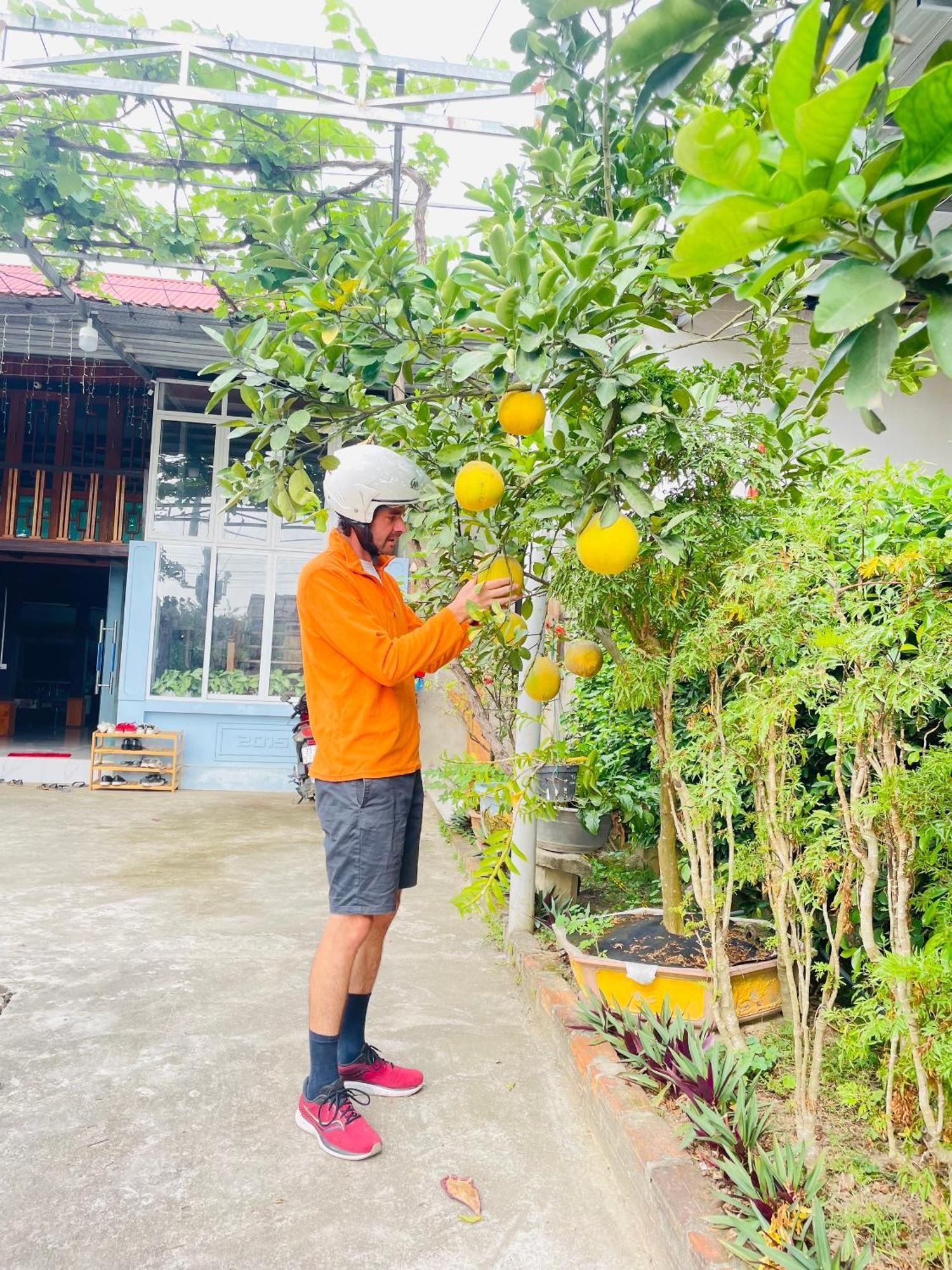 Binh Nga Homestay Nghia Lo Ngoại thất bức ảnh
