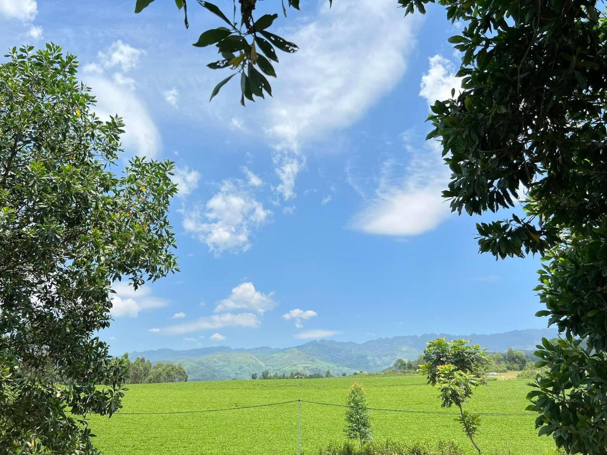 Binh Nga Homestay Nghia Lo Ngoại thất bức ảnh