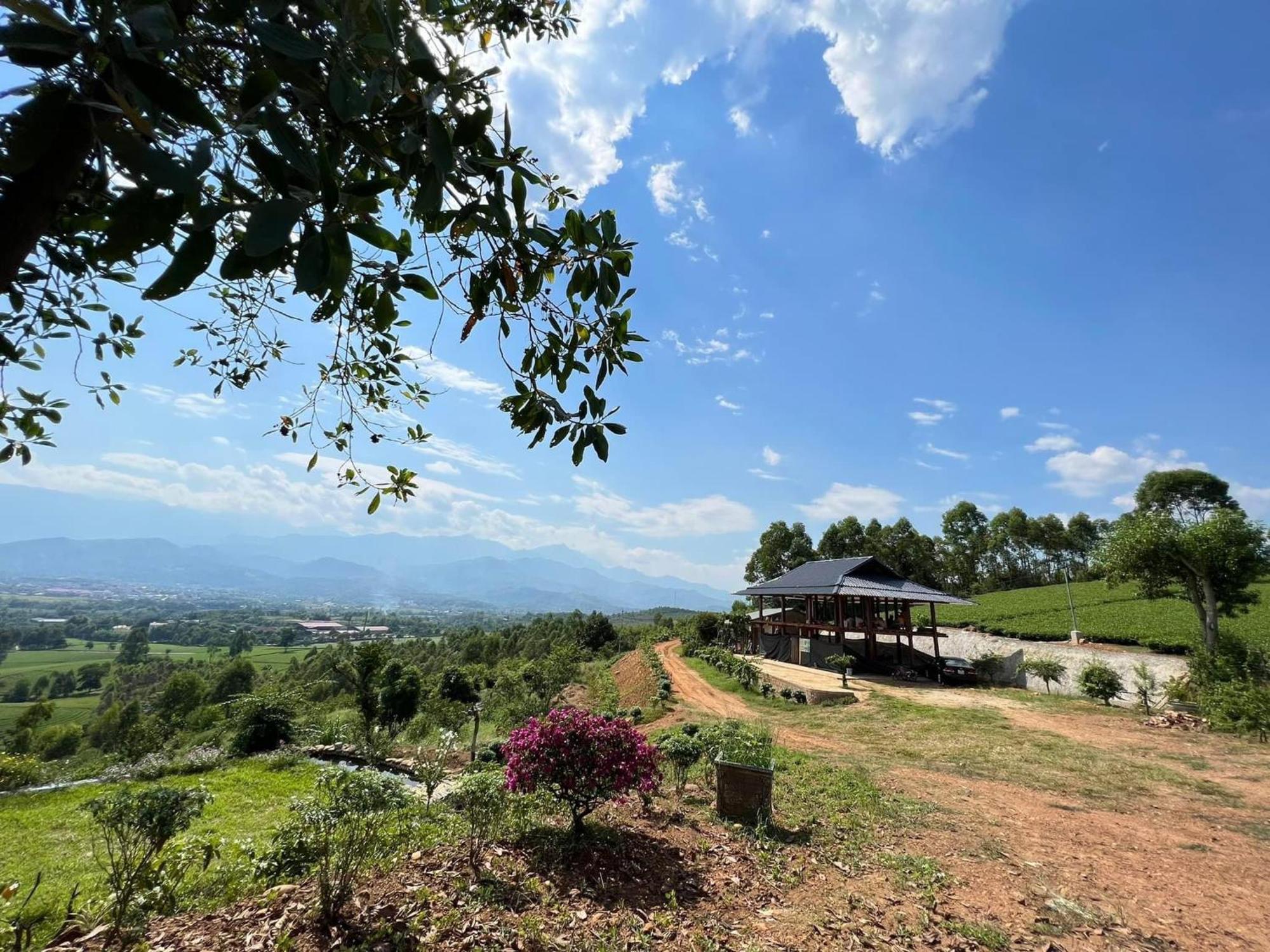 Binh Nga Homestay Nghia Lo Ngoại thất bức ảnh