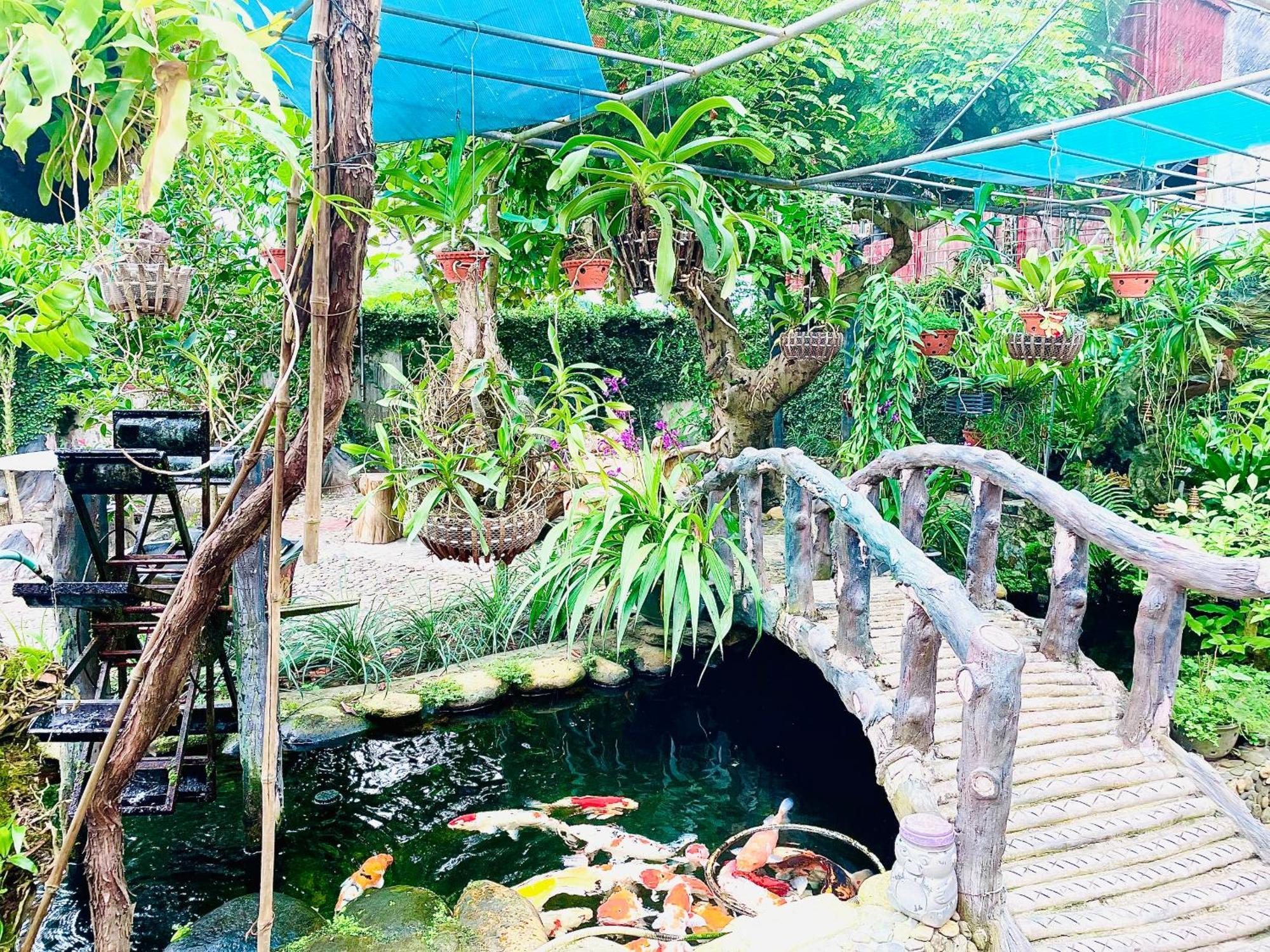 Binh Nga Homestay Nghia Lo Ngoại thất bức ảnh